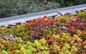 the cost of Kings Nympton green roof installation