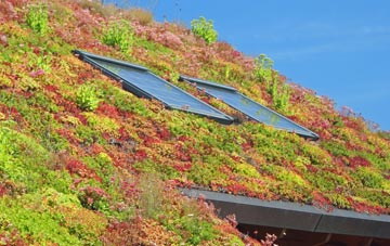 Kings Nympton living roof systems